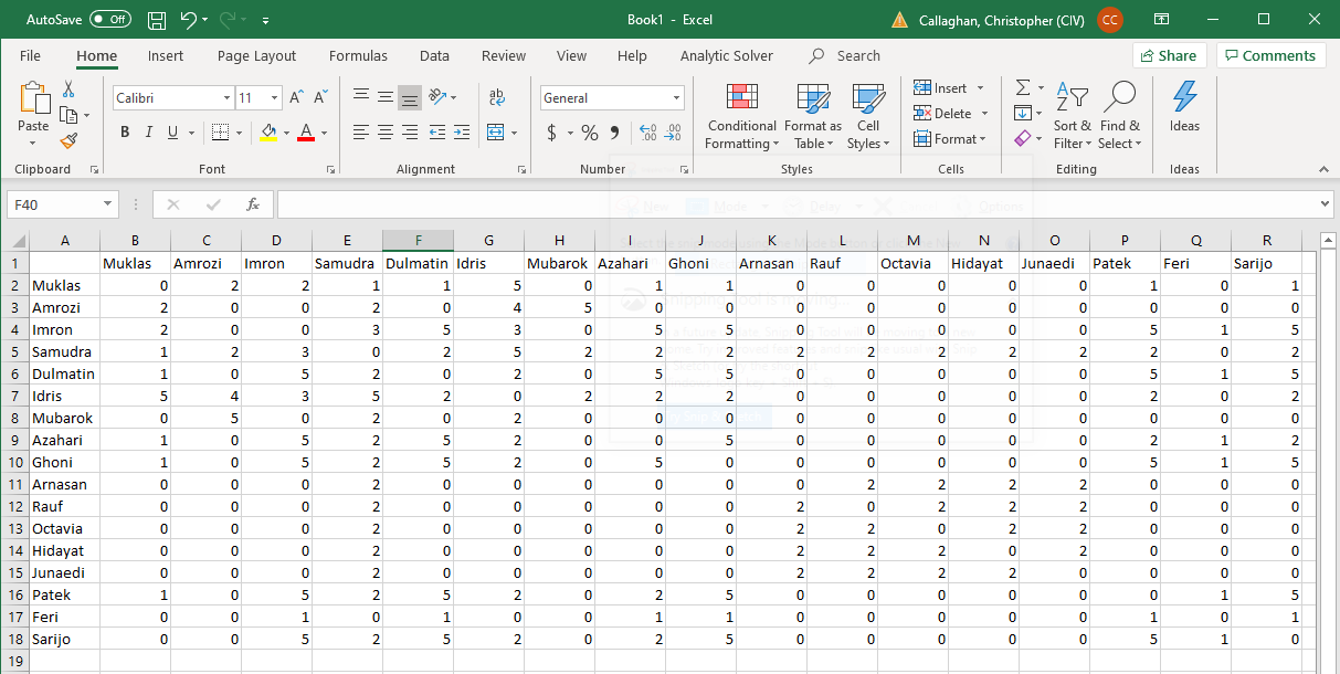 Hoja de cálculo de Excel que muestra la matriz de datos en Koschade
